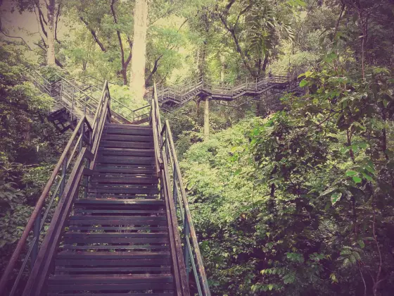 Thenmala trekking (2)