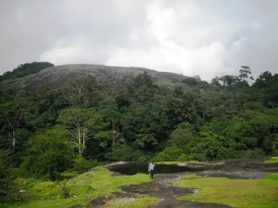 The ridge line from the rock, with the Palakkad plain showing pale away to the west.