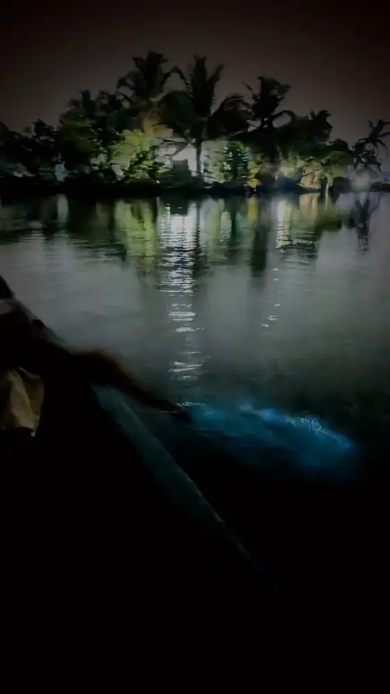 Kumbalangi (1)