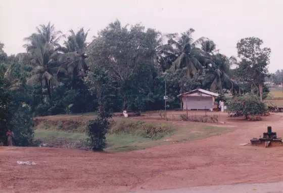 Local temple trails (4)
