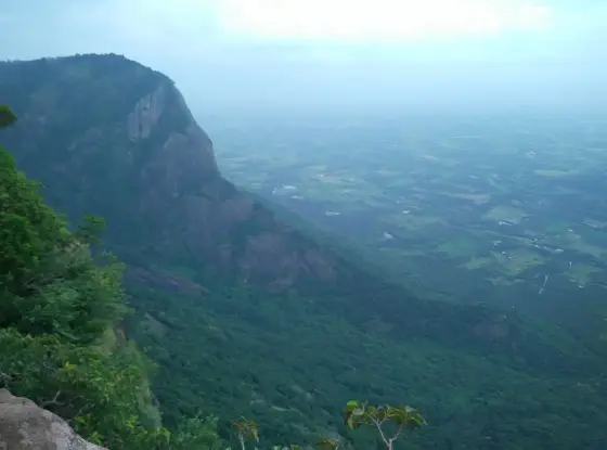 The escarpment face from the viewpoint: a cliff buttress on the left and the whole Palakkad plain below it, fields, tanks and roads running to the horizon.