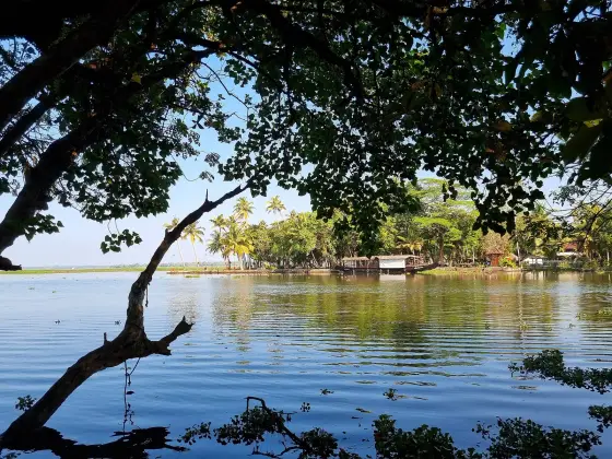 Kumarakom (4)