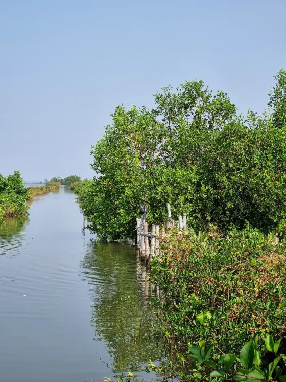 Kumbalangi (4)