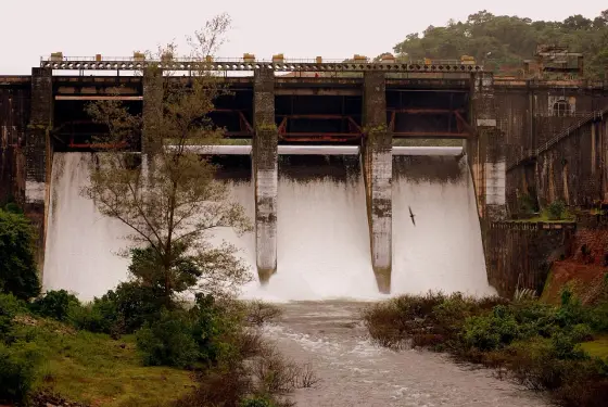 Peruvannamuzhi Dam (2)