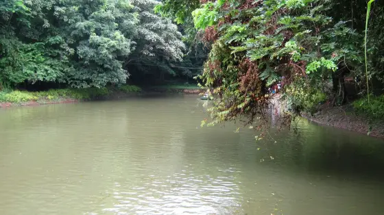 Thenmala trekking (6)