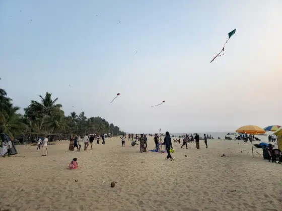 Marari Beach (1)