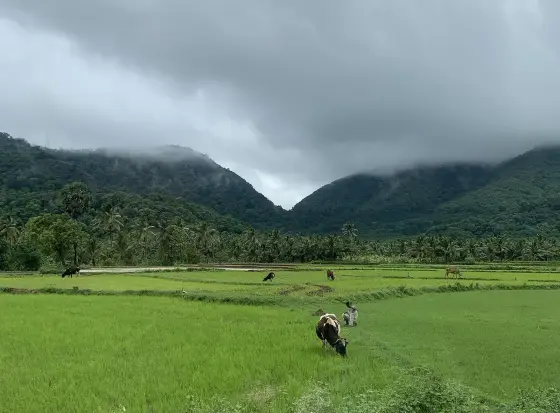 Aryankavu (5)