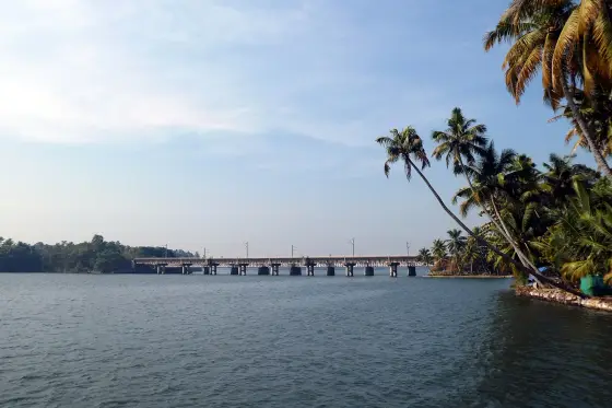 Munroe Island (7)