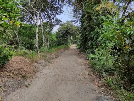 Pathiramanal Island (4)