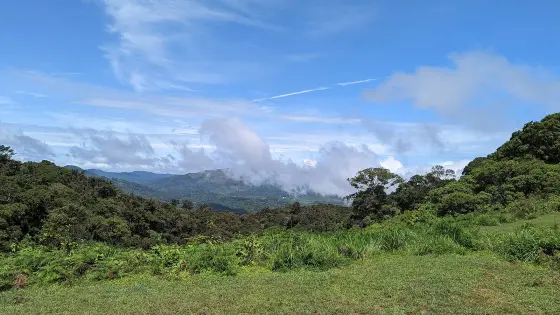 The range from the plateau: cleared shoulders, shola in the folds, and cloud already building by mid-morning.