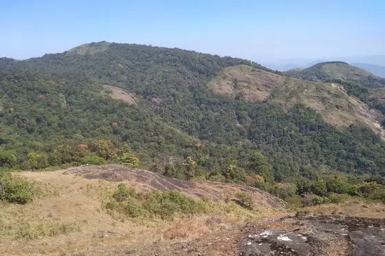 Forested ridges on this side of the plateau, one behind another — the view the top point looks out on.