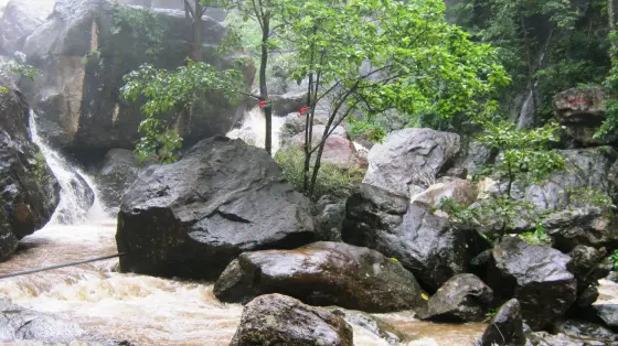 Palaruvi Waterfalls (4)