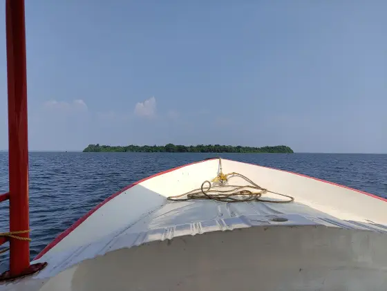 Pathiramanal Island (1)