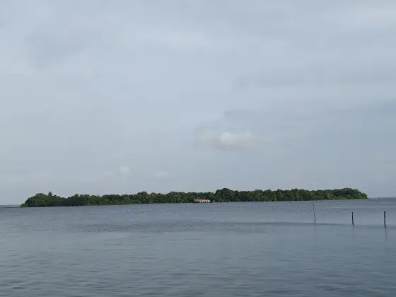 Pathiramanal Island (2)