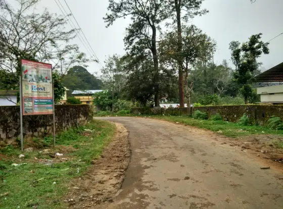 Pulayanpara, the locality the farm sits in, a few hundred metres below the Nelliyampathy settlement.