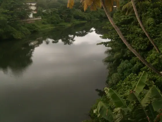 Kallada river (5)