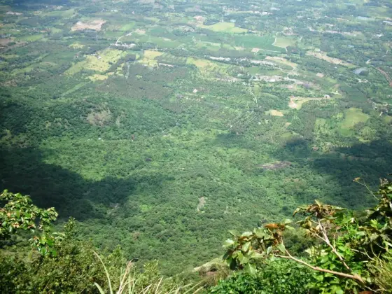 Looking along the escarpment edge from the viewpoint, with the estate ground dropping away below.