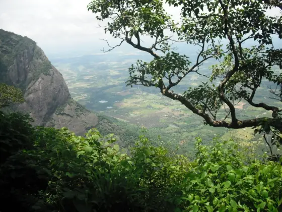 The plateau edge along from the viewpoint, with the drop falling away on the right.