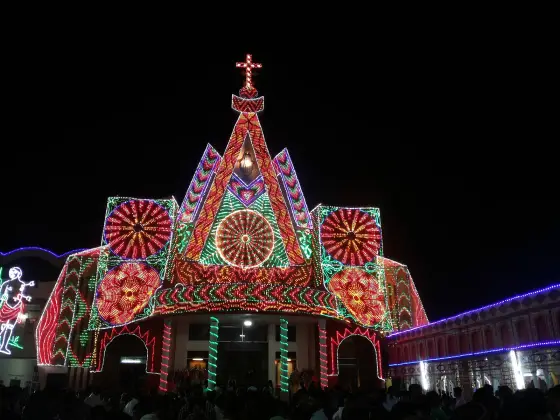 Chalakkudy Forane Church (6)