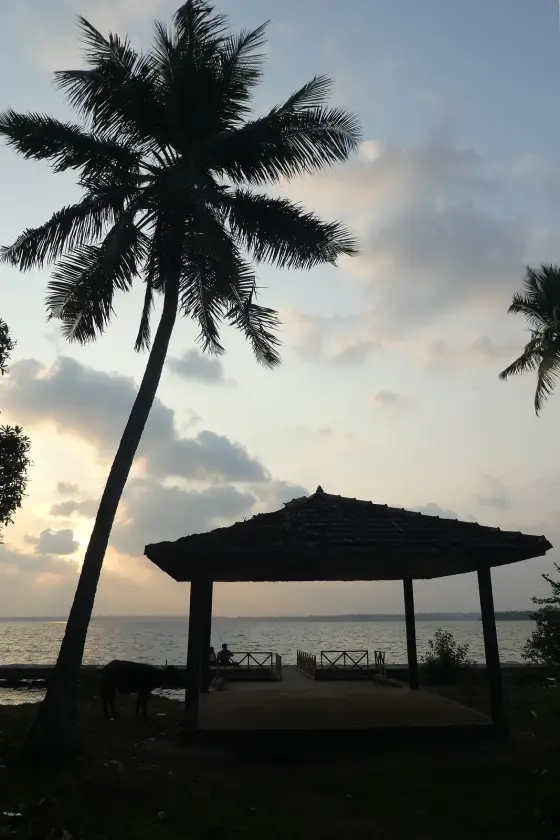 Munroe Island (6)