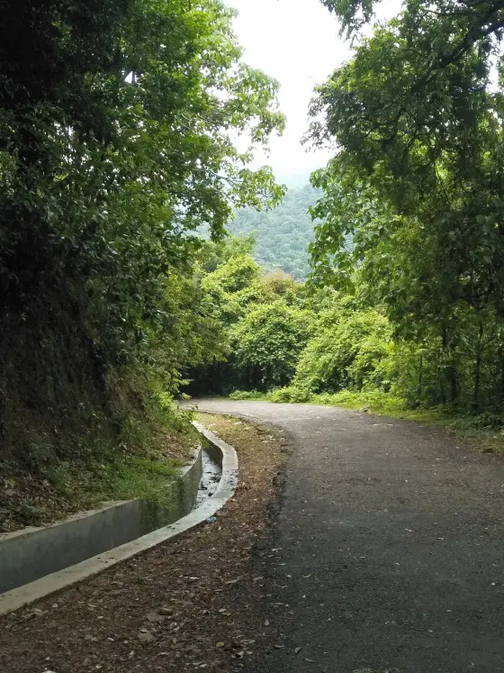 Shendurney trek (6)