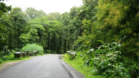 Palaruvi Waterfalls (5)