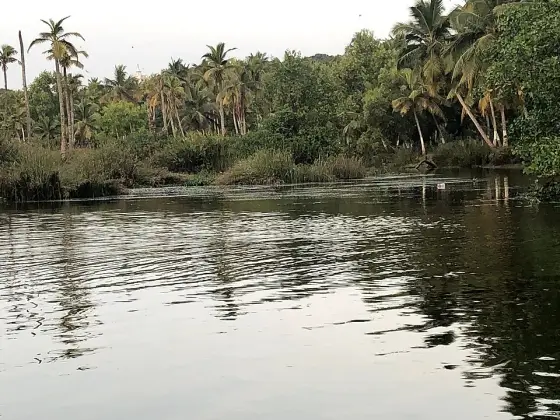 Poovar (4)