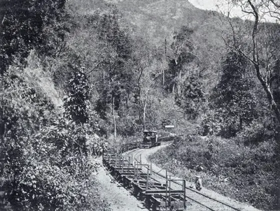 Timber wagons on the former Cochin State Forest Tramway, published in Scientific American in 1910. This historical forest line is part of Chalakkudy’s railway story, not a view of the present passenger station.