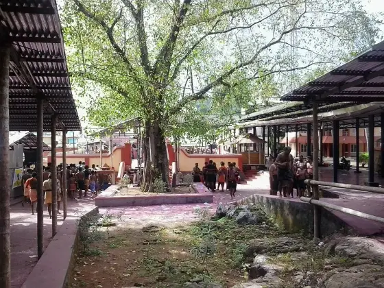 A shaded shrine courtyard at Erumeli.