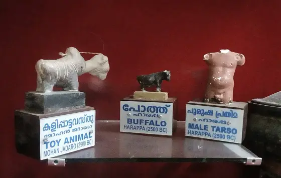 Replicas of Harappan objects in the palace museum; the display labels identify them as copies.