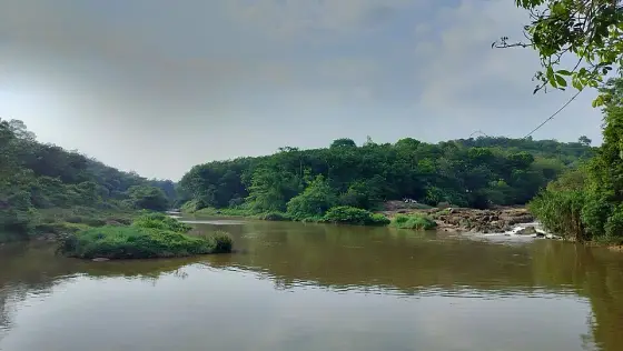Vattathil Waterfalls (4)