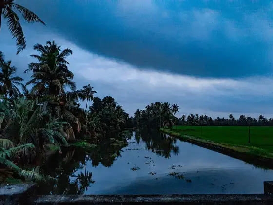 Kuttanad (2)