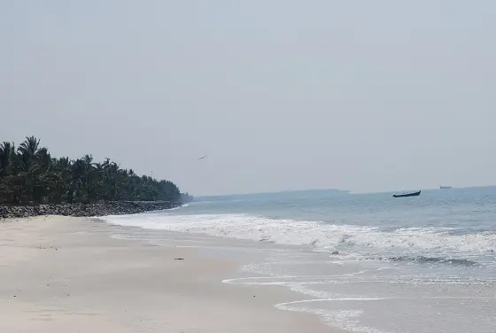 Kappad Beach (5)
