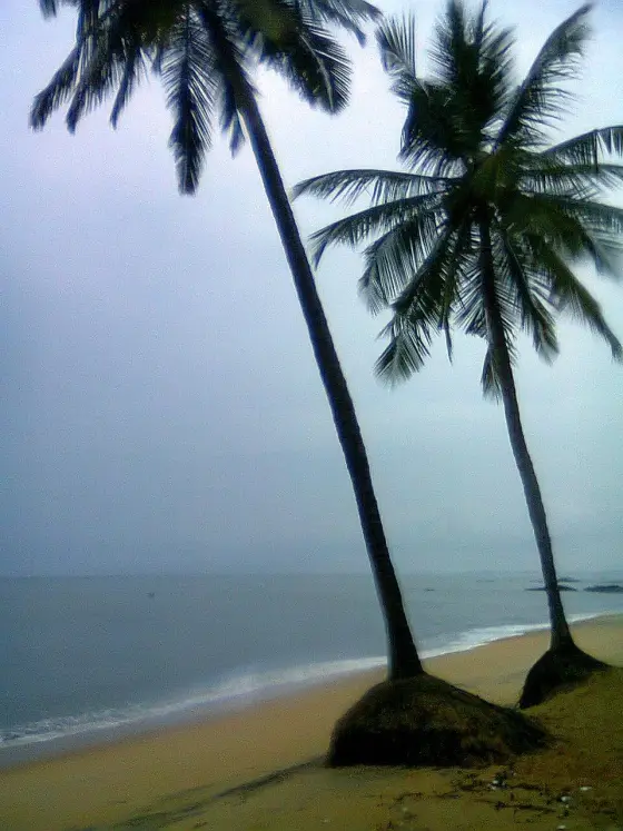 Kappad Beach (2)