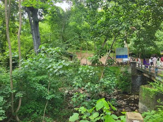 A bridge over the stream near the Kumbhavurutty entrance.