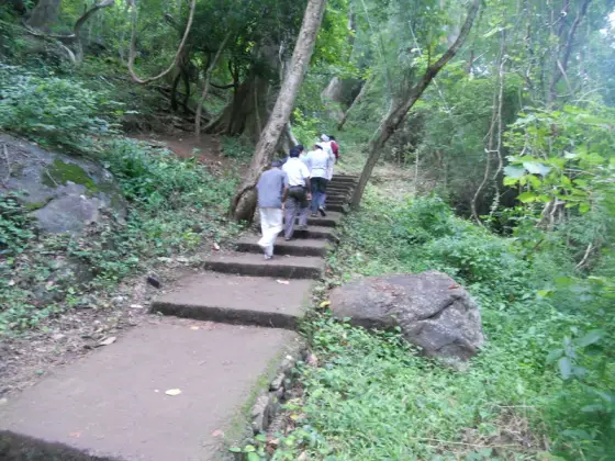 Kumbhavurutty Waterfalls (7)
