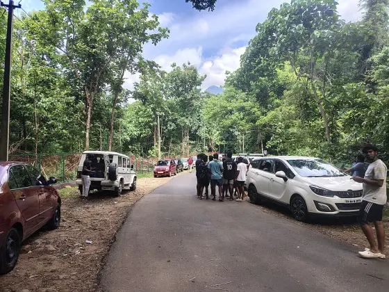 The road and parking area near the entrance.