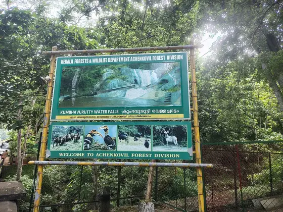 Kumbhavurutty Waterfalls (4)