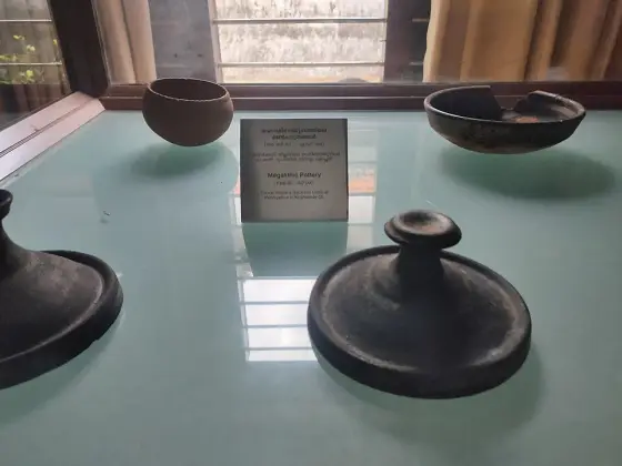 Bowls and vessels in a museum display case.
