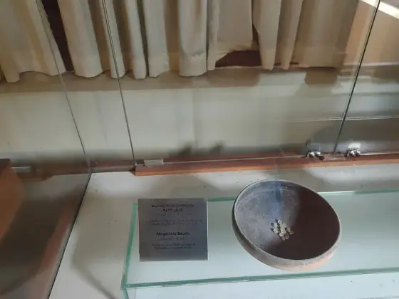 A ladle and cup among the museum exhibits.