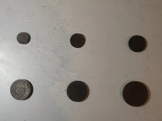 An array of coins in the Kunjali Marakkar Museum.