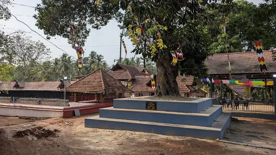 Lokanarkavu Temple (4)