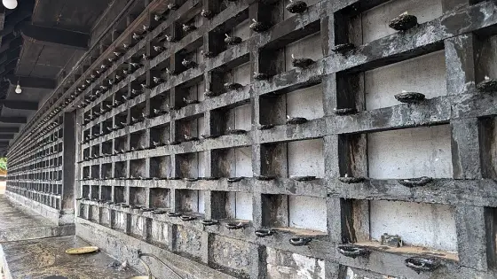 Rows of lamps along the temple wall.