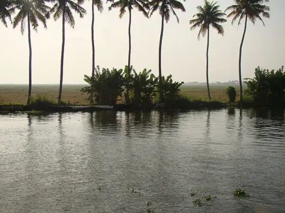 Kuttanad (3)