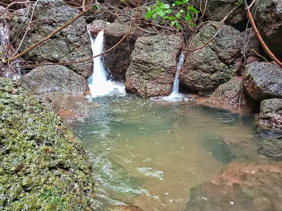 Water descending over the rocks at Madayipara.