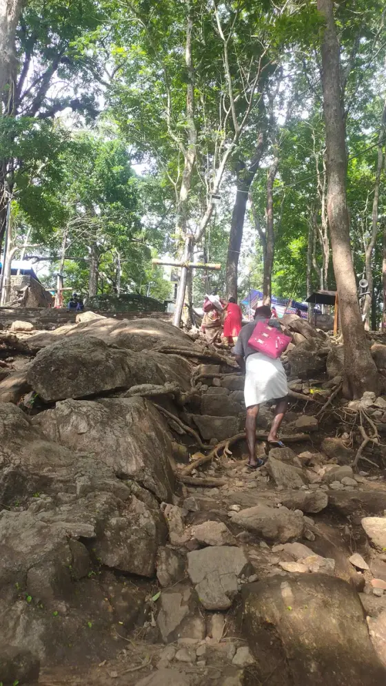 The rocky pilgrimage path through the forest at Malayattoor.