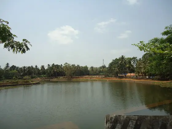 Manickamangalam Chira, the pond in the village around the Karthyayani temple.