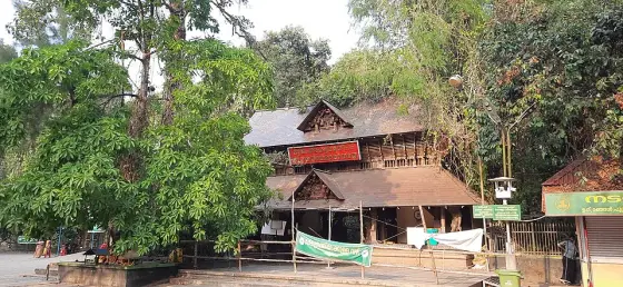 Mannarasala Sree Nagaraja Temple (4)