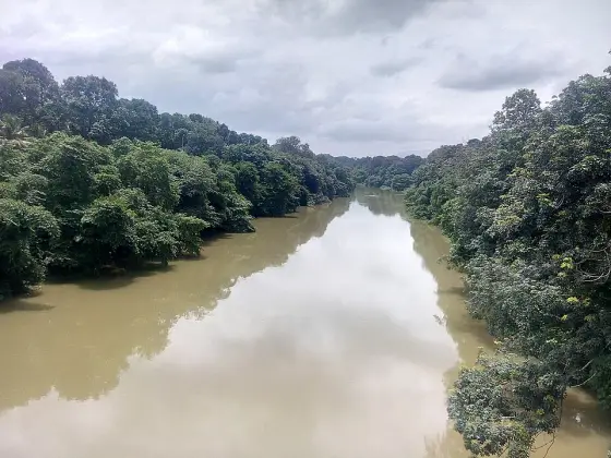 Bharananganam (3)