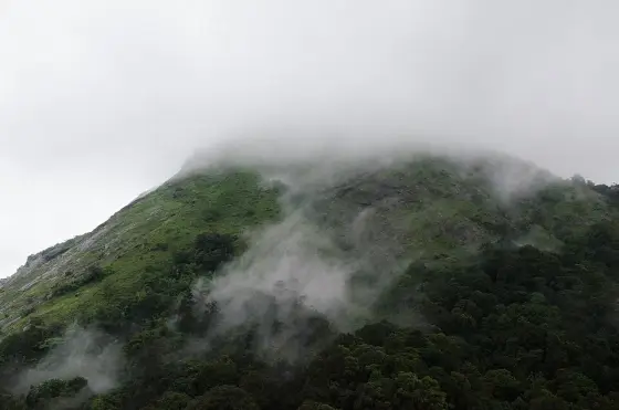 Nelliyampathy (2)